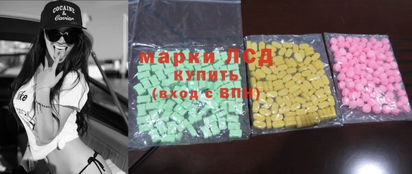 ECSTASY Алзамай