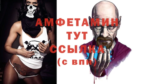 ECSTASY Алзамай