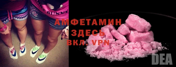 ECSTASY Алзамай