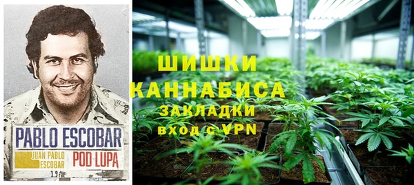 ECSTASY Алзамай