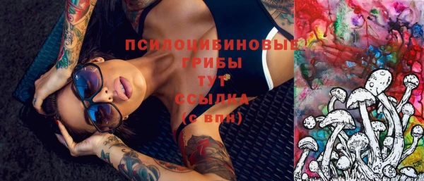 ECSTASY Алзамай