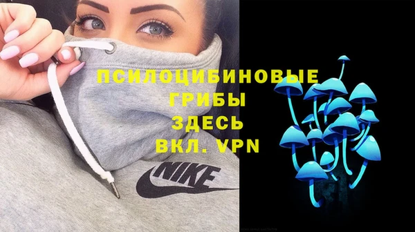 МДПВ Алексеевка