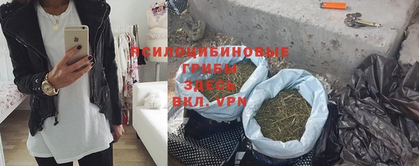 винт Алексин