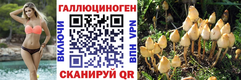 Купить Воскресенск Галлюциногенные грибы MAGIC MUSHROOMS